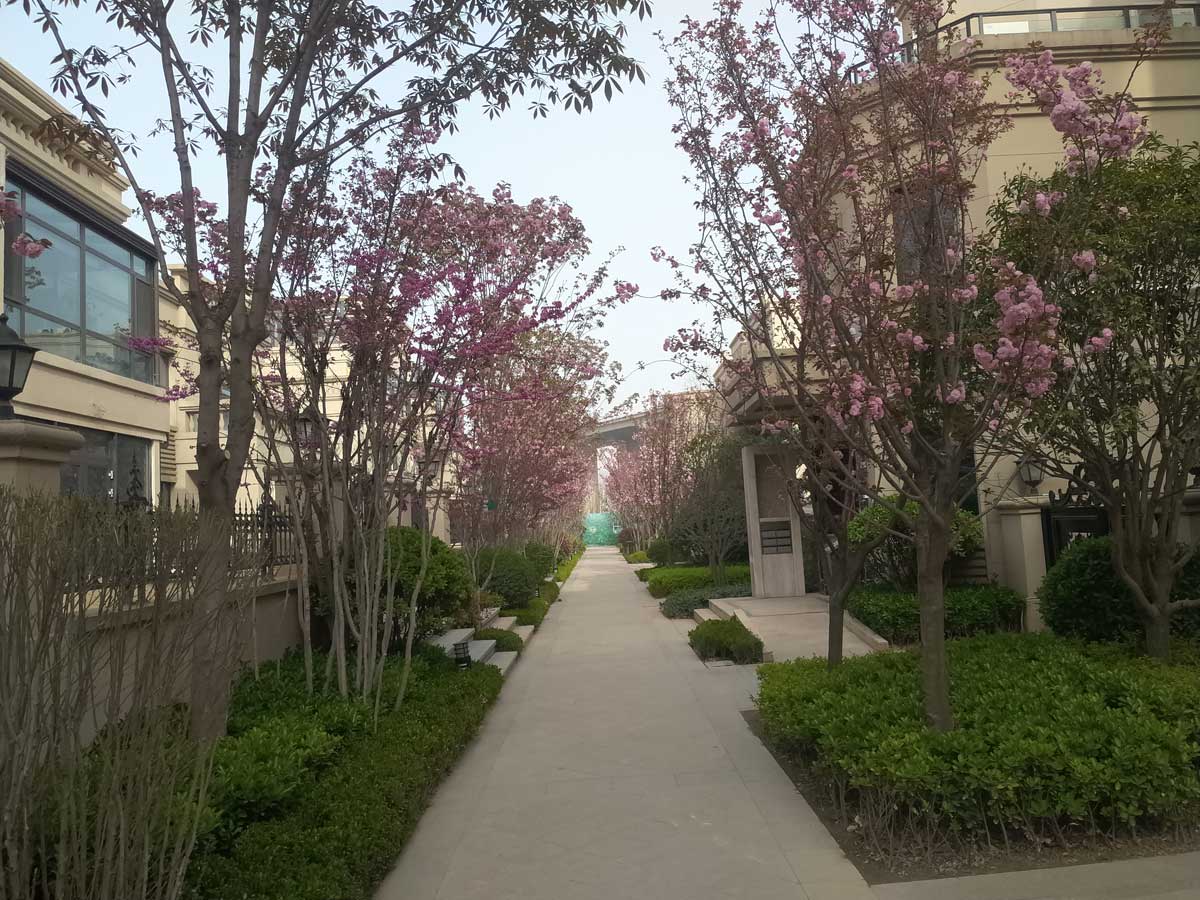 西安恒大御龙湾电渗透地下室防潮系统工程型施工方案